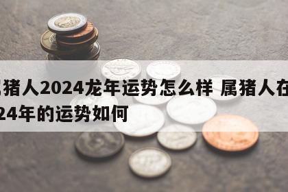 属猪人2024龙年运势怎么样 属猪人在2024年的运势如何