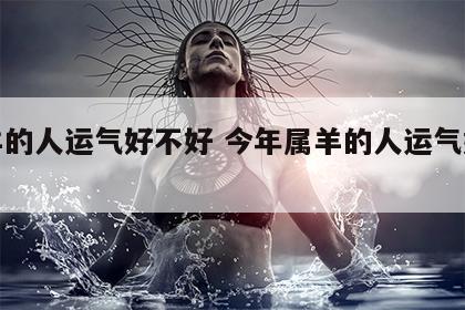 属羊的人运气好不好 今年属羊的人运气好不好