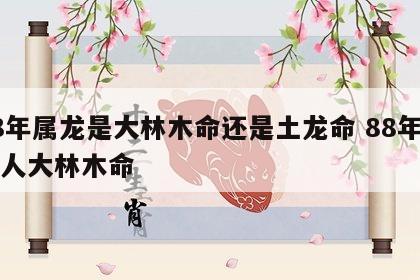 88年属龙是大林木命还是土龙命 88年属龙人大林木命