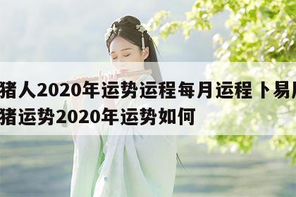 属猪人2020年运势运程每月运程卜易居 属猪运势2020年运势如何