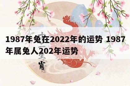 1987年兔在2022年的运势 1987年属兔人202年运势