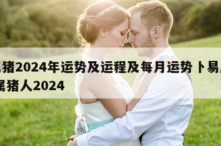 属猪2024年运势及运程及每月运势卜易居 属猪人2024