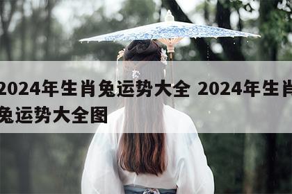 2024年生肖兔运势大全 2024年生肖兔运势大全图