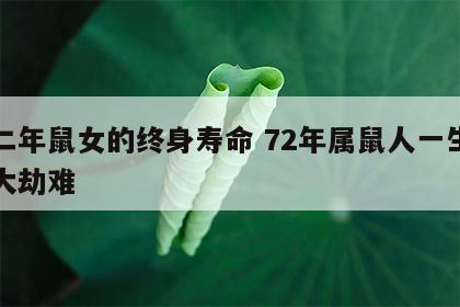 七二年鼠女的终身寿命 72年属鼠人一生的三大劫难