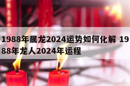 1988年属龙2024运势如何化解 1988年龙人2024年运程