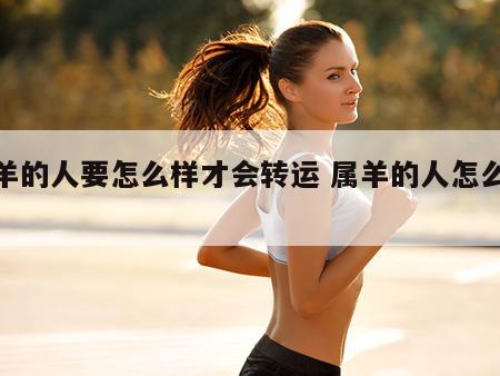 属羊的人要怎么样才会转运 属羊的人怎么改运