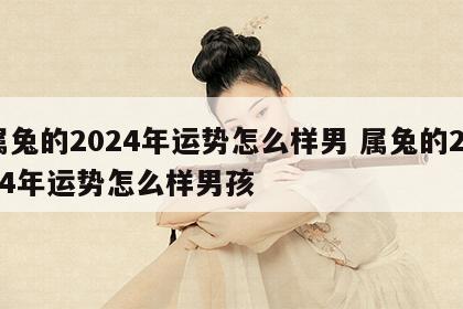 属兔的2024年运势怎么样男 属兔的2024年运势怎么样男孩