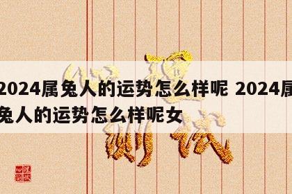 2024属兔人的运势怎么样呢 2024属兔人的运势怎么样呢女