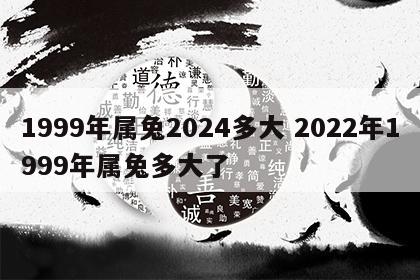 1999年属兔2024多大 2022年1999年属兔多大了