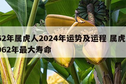 62年属虎人2024年运势及运程 属虎1962年最大寿命