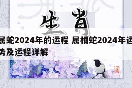 属蛇2024年的运程 属相蛇2024年运势及运程详解