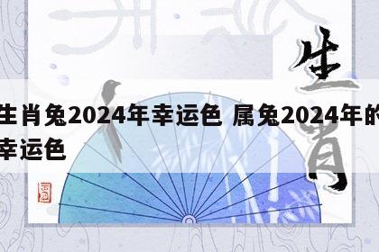 生肖兔2024年幸运色 属兔2024年的幸运色