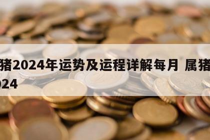 属猪2024年运势及运程详解每月 属猪人2024