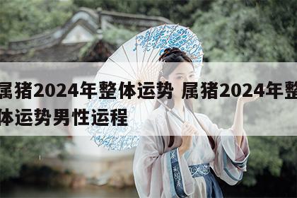 属猪2024年整体运势 属猪2024年整体运势男性运程