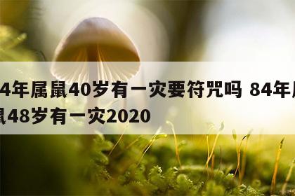 84年属鼠40岁有一灾要符咒吗 84年属鼠48岁有一灾2020