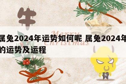 属兔2024年运势如何呢 属兔2024年的运势及运程