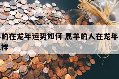 属羊的在龙年运势如何 属羊的人在龙年运气怎么样