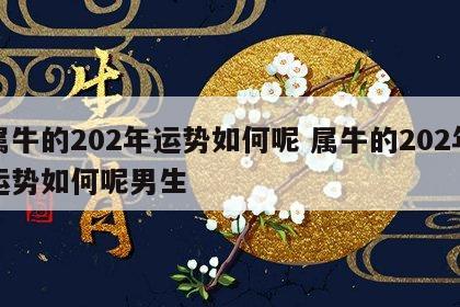 属牛的202年运势如何呢 属牛的202年运势如何呢男生