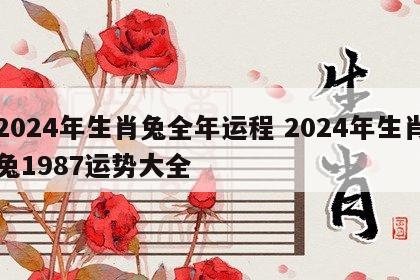 2024年生肖兔全年运程 2024年生肖兔1987运势大全