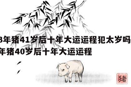83年猪41岁后十年大运运程犯太岁吗 83年猪40岁后十年大运运程