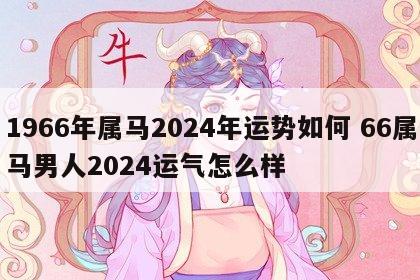1966年属马2024年运势如何 66属马男人2024运气怎么样