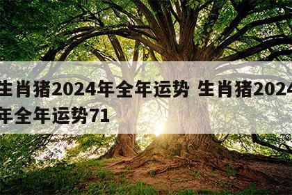 生肖猪2024年全年运势 生肖猪2024年全年运势71