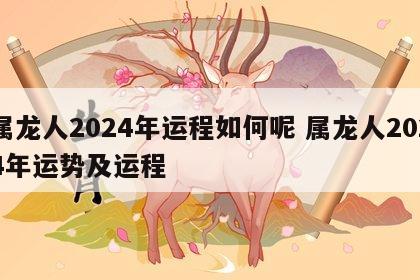 属龙人2024年运程如何呢 属龙人2024年运势及运程