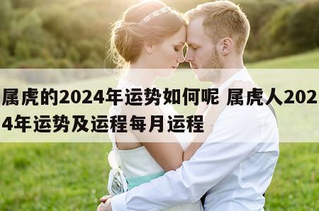属虎的2024年运势如何呢 属虎人2024年运势及运程每月运程