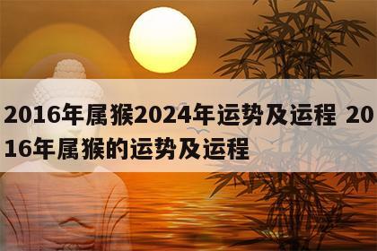 2016年属猴2024年运势及运程 2016年属猴的运势及运程