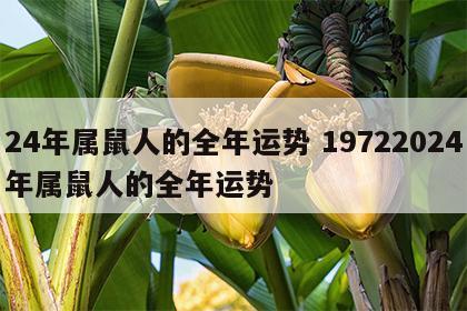 24年属鼠人的全年运势 19722024年属鼠人的全年运势
