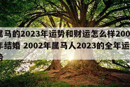 属马的2023年运势和财运怎么样2002年结婚 2002年属马人2023的全年运势