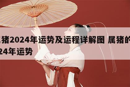 属猪2024年运势及运程详解图 属猪的2024年运势