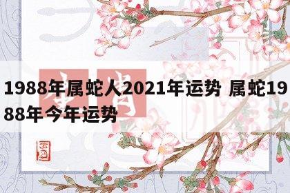 1988年属蛇人2021年运势 属蛇1988年今年运势