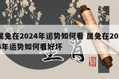 属兔在2024年运势如何看 属兔在2024年运势如何看好坏