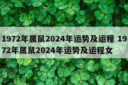 1972年属鼠2024年运势及运程 1972年属鼠2024年运势及运程女