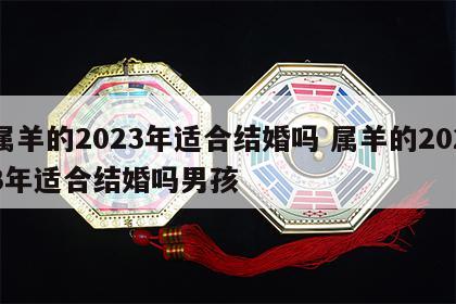 属羊的2023年适合结婚吗 属羊的2023年适合结婚吗男孩