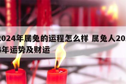 2024年属兔的运程怎么样 属兔人2024年运势及财运
