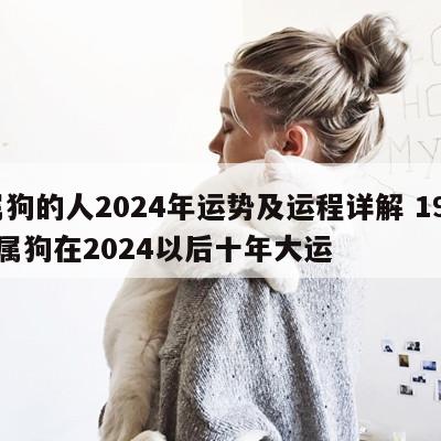 属狗的人2024年运势及运程详解 1970属狗在2024以后十年大运