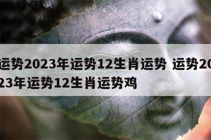 运势2023年运势12生肖运势 运势2023年运势12生肖运势鸡