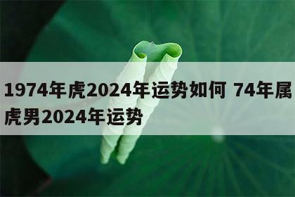 1974年虎2024年运势如何 74年属虎男2024年运势