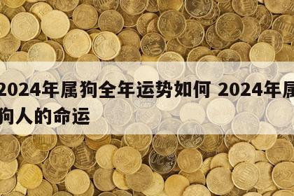 2024年属狗全年运势如何 2024年属狗人的命运
