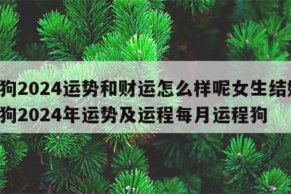 属狗2024运势和财运怎么样呢女生结婚 属狗2024年运势及运程每月运程狗