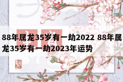 88年属龙35岁有一劫2022 88年属龙35岁有一劫2023年运势