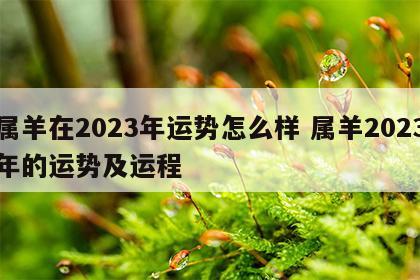 属羊在2023年运势怎么样 属羊2023年的运势及运程