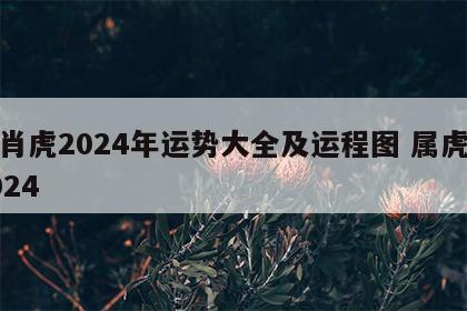 生肖虎2024年运势大全及运程图 属虎人2024