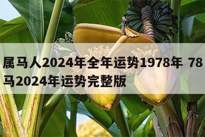 属马人2024年全年运势1978年 78马2024年运势完整版