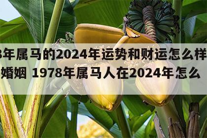 78年属马的2024年运势和财运怎么样女生婚姻 1978年属马人在2024年怎么样