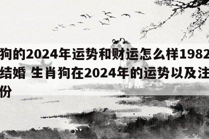 属狗的2024年运势和财运怎么样1982年结婚 生肖狗在2024年的运势以及注意月份