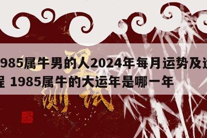 1985属牛男的人2024年每月运势及运程 1985属牛的大运年是哪一年