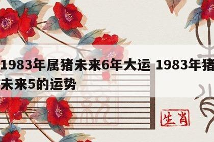 1983年属猪未来6年大运 1983年猪未来5的运势